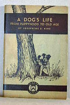 Imagen del vendedor de A DOG'S LIFE, From Puppyhood to Old Age a la venta por B A Downie Dog Books