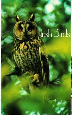 Seller image for Irish Birds. for sale by Buchversand Joachim Neumann
