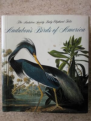 Audubon's Birds of America (Tiny Folios)