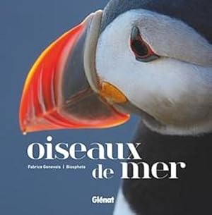 oiseaux de mer