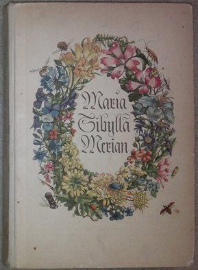 Imagen del vendedor de Maria Sibylla Merian. Roman. a la venta por Antiquariat Johann Forster