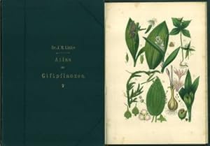 Immagine del venditore per Atlas der Giftpflanzen. Oder Abbildung und Beschreibung der den Menschen und Thieren schdlichen Pflanzen. Zum Schul- und Hausgebrauch herausgegeben. Mit fnfzehn colorirten Kupfertafeln. venduto da Antiquariat Weinek