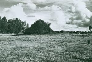 Imagen del vendedor de Black and White Photograph, meadow in front of fence line. a la venta por Wittenborn Art Books