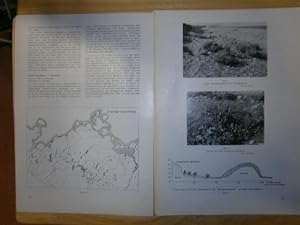 Karten zur Pflanzengeographie Mecklenburgs. Dritte (3.) Reihe. Salz- und Strandpflanzen (1. Teil)...