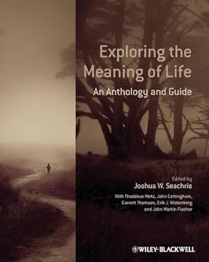 Seller image for Exploring the Meaning of Life: An Anthology and Guide : An Anthology and Guide for sale by AHA-BUCH