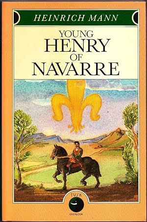 Young Henry of Navarre