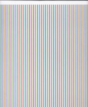 Immagine del venditore per Bridget Riley - The Stripe Paintings 1961-2014 venduto da timkcbooks (Member of Booksellers Association)