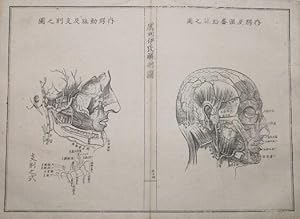 Japanese Woodblock Print Medical Handbook