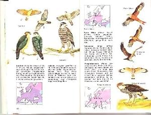 Bild des Verkufers fr Europische Vogelwelt, ber 500 Abbildungen von Philippe Degrave. zum Verkauf von Buchversand Joachim Neumann