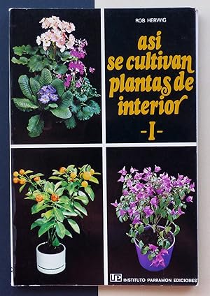 Así se cultivan plantas de interior. I