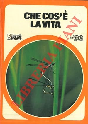 Seller image for Che cos' la vita. for sale by Libreria Piani