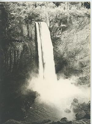 Afrique. Cameroun, Chutes d'Ekom, cascade