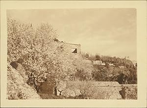 France, Hyères les Palmiers (Var), Les Jardins Suspendus