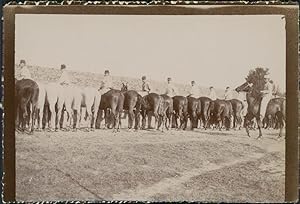 Photographie militaire, L'Abreuvoir des chevaux