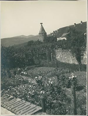 France, Obernai (Alsace)