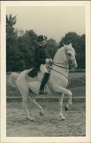 Österreich, Spanische Hofreitschule Wien. Piaffe