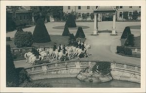 Österreich, Spanische Hofreitschule Wien. Sommeraufenthalt in Lainz