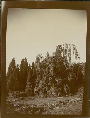 Deutschland, Oldenburg, Park