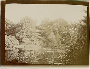 Deutschland, Oldenburg, Park