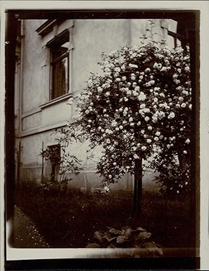 Deutschland, Dresden, Strehlen