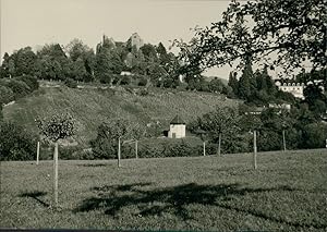 Deutschland, Burgruine Badenweiler