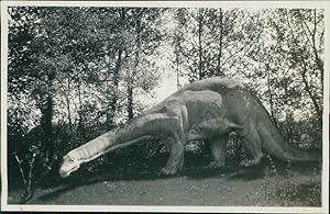 Deutschland, Hamburger Tierpark