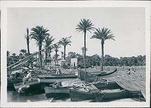 Egypt, Ismailia, Scene on the Sweet Water Canal