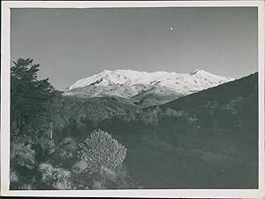 New Zealand, Ruapehu Mount (Ohacka)