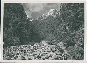 New Zealand, Arthur's Pass in the South Island