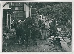 New Zealand, Pompolona Huts (South Island)