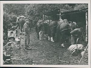 New Zealand, Pompolona Huts (South Island)