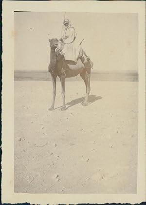 Syrie pendant le Mandat Français (1920-1946). Un Cavalier Syrien