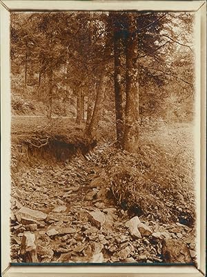 France, Plombières les Bains (Vosges), 1903