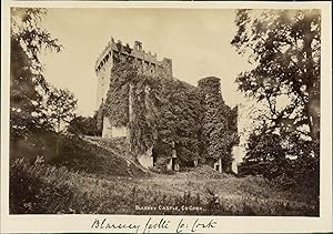 Ireland, Blarney Castle Co Cork, ca. 1870