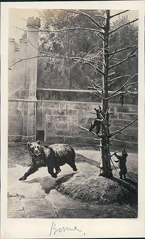 Suisse, Berne. La Fosse aux Ours, ca. 1875