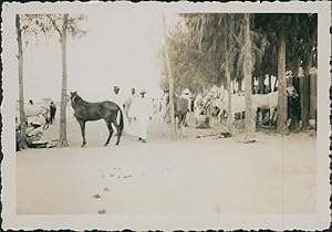 Sénégal, St Louis, courses équestres