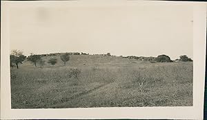 Paysage africain à identifier