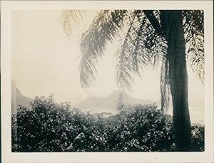 Brésil, Rio de Janeiro, Vue sur la côte