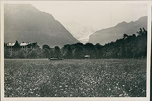 Suisse, Interlaken, vue champêtre