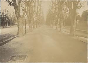 Marseille, une allée du Prado