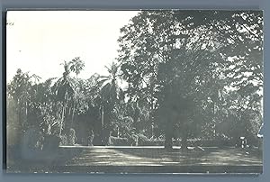 Ceylan, Kandy, Peradeniya Garden