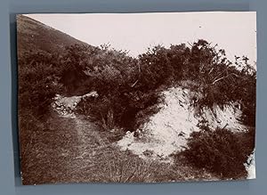 France, Éboulis dans les environs de Lourdes