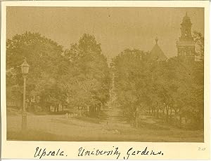 Sweden, Upsala, University Garden (Uppsala)