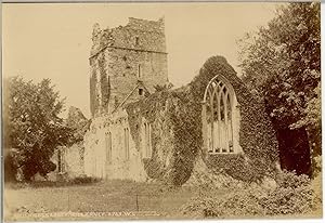 W.L., Ireland, Killarney, Muckross Abbey