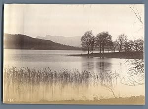 Brunskill, Windermere, Morning