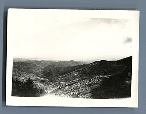 Pakistan, Topa, a Cultivated hill side