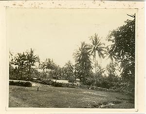 Indonesia, Buitenzorg (Bogor), Botanical Gardens