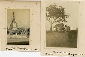 Burma, Rangoon, Sule Pagoda and Bullock Cart