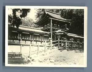 Japon, Nara, Pagode Bouddha