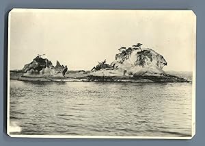 Japan, Keshojima, Matsushima